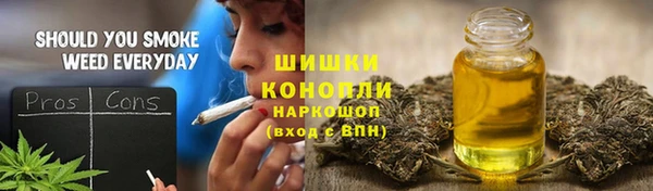 стафф Осташков