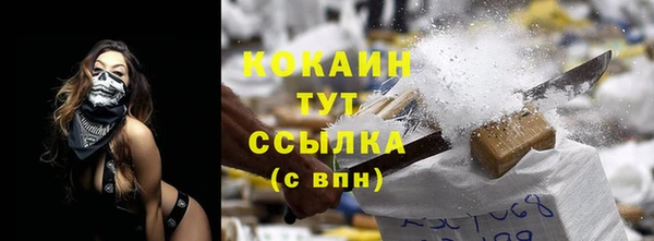 стафф Осташков
