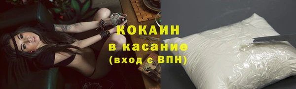 стафф Осташков
