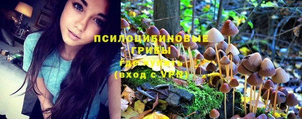 стафф Осташков