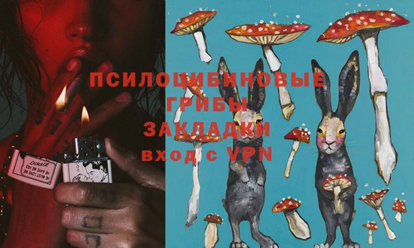стафф Осташков