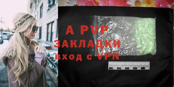 стафф Осташков