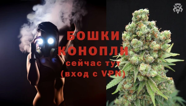 кокс Осинники