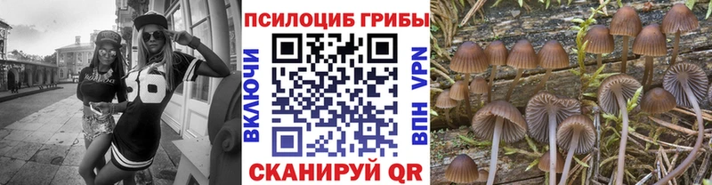 Галлюциногенные грибы мицелий  Комсомольск 